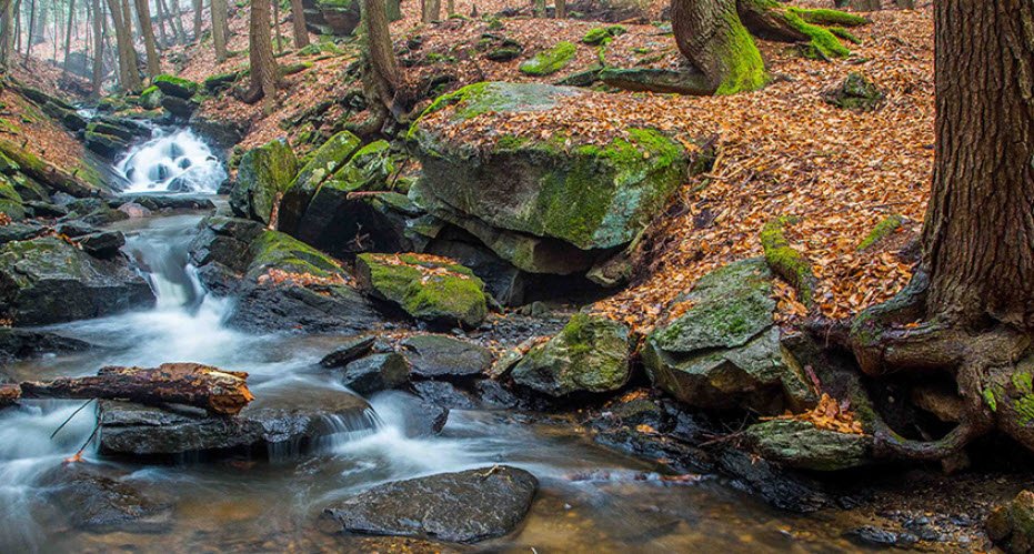 Chesterfield Gorge Natural Area, New Hampshire, USA